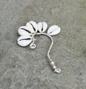 Lady Day Ear Flower (6) Cowrie Shell