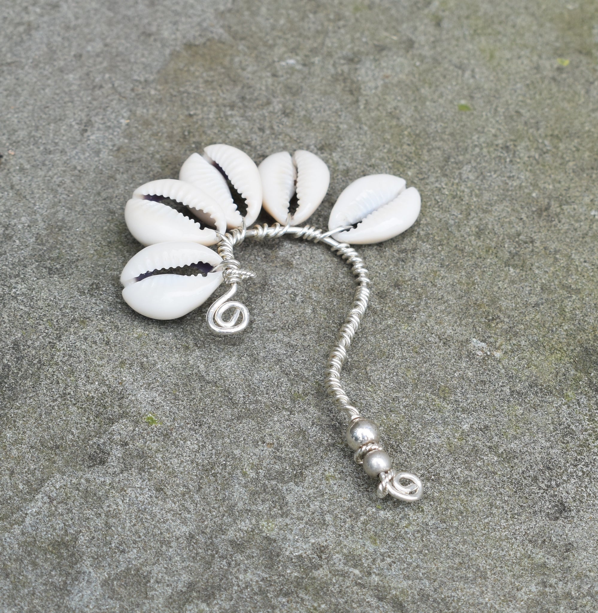 Lady Day Ear Flower (6) Cowrie Shell